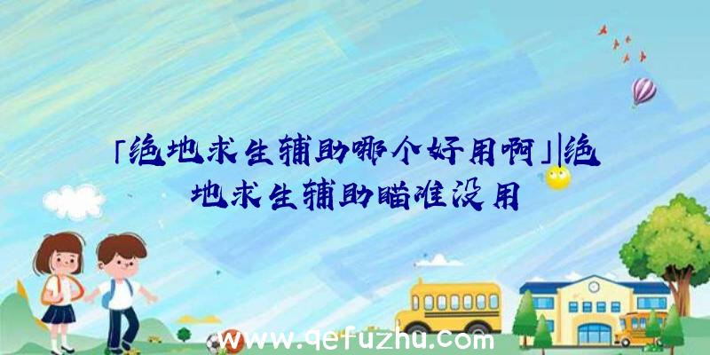 「绝地求生辅助哪个好用啊」|绝地求生辅助瞄准没用